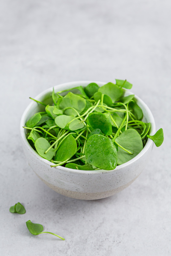 Frischer Portulak in einer Schüssel.